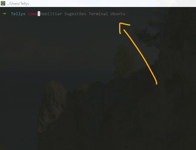 Como Habiltiar Sugestões Terminal Ubuntu