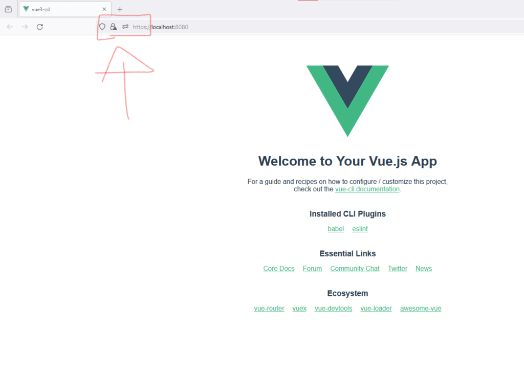 Create SSL VUE 3 With Https Server Localhost Test